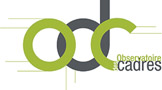 Logo_Observatoiredescadres_header1.jpg?profile=RESIZE_710x